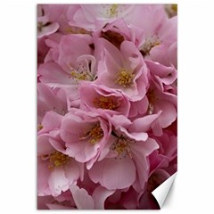 Cherry-blossoms Canvas 12  X 18  by Excel