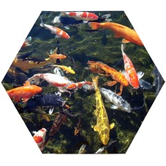 Koi Pond 3d Fish Wooden Puzzle Hexagon by Grandong