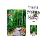 Bamboo Forest Squid Family Playing Cards 54 Designs (Mini) Front - Heart5