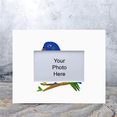 Pionus T-shirtwhite Look Calm Pionus 01 T-shirt (1) White Tabletop Photo Frame 4 x6  by EnriqueJohnson