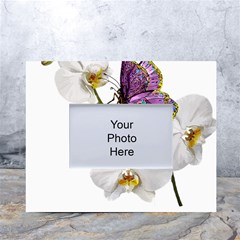Butterfly Art T- Shirtbutterfly T- Shirt (2) White Tabletop Photo Frame 4 x6  by JamesGoode