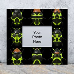 Beetles-insects-bugs- White Wall Photo Frame 5  X 7  by Ket1n9