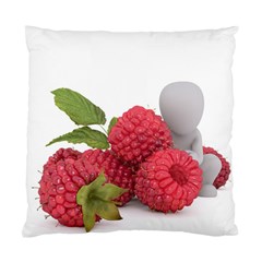 Fruit-healthy-vitamin-vegan Standard Cushion Case (one Side) by Ket1n9