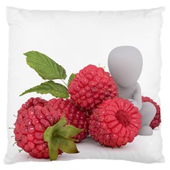 Fruit-healthy-vitamin-vegan Large Cushion Case (two Sides) by Ket1n9
