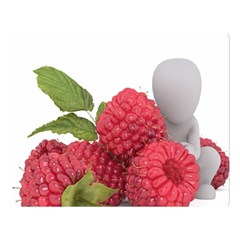 Fruit-healthy-vitamin-vegan Two Sides Premium Plush Fleece Blanket (large) by Ket1n9