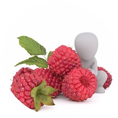 Fruit-healthy-vitamin-vegan Wooden Puzzle Round by Ket1n9