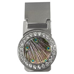 Peacock-feathers-pattern-colorful Money Clips (cz)  by Amaryn4rt