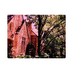 Hot Day In  Dallas-6 Premium Plush Fleece Blanket (mini) by bestdesignintheworld