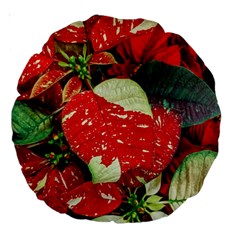 Poinsettia Christmas Star Plant Large 18  Premium Round Cushions by Sarkoni