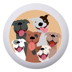 Dogs Pet Background Pack Terrier Dento Box With Mirror by Ravend