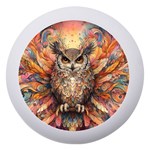 Drawing Olw Bird Dento Box with Mirror Front
