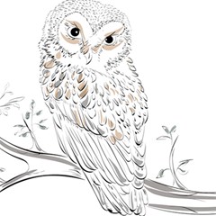 Owl Bird Wildlife Bird Of Prey Play Mat (square) by Modalart