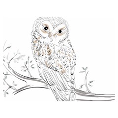 Owl Bird Wildlife Bird Of Prey Premium Plush Fleece Blanket (extra Small) by Modalart