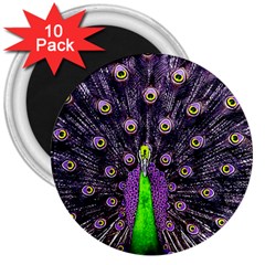 Peacock Bird Color 3  Magnets (10 Pack)  by Cendanart