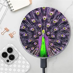 Peacock Bird Color Wireless Fast Charger(white) by Cendanart