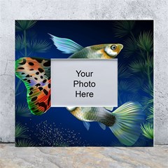 Marine Fishes White Wall Photo Frame 5  X 7  by Ket1n9