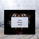 Tiger Angry Nima Face Wild White Tabletop Photo Frame 4 x6  Front