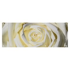 White Roses Flowers Plant Romance Blossom Bloom Nature Flora Petals Banner And Sign 8  X 3  by Proyonanggan