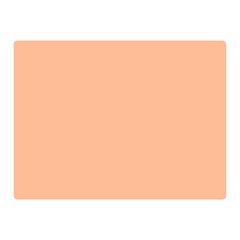 Peach Fuzz 2024 Two Sides Premium Plush Fleece Blanket (mini) by dressshop