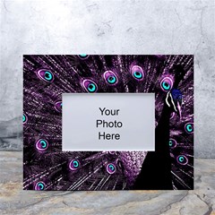 Purple Peacock White Tabletop Photo Frame 4 x6  by Bedest
