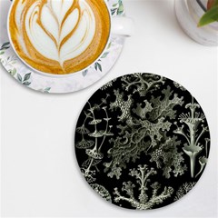 Weave Haeckel Lichenes Photobionten Uv Print Round Tile Coaster by Cemarart