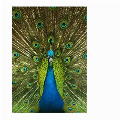 Peacock Feathers Bird Plumage Large Garden Flag (two Sides) by Perong
