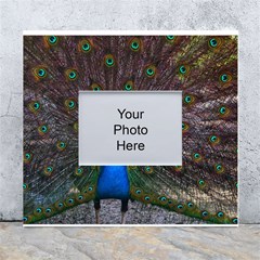 Bird Peacock Feathers White Wall Photo Frame 5  X 7  by Perong