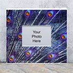 Peacock Bird Feathers Coloured Plumage White Wall Photo Frame 5  x 7  Front
