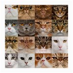 Breeds Of Cats Collage Medium Glasses Cloth Front