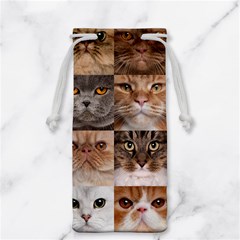 Breeds Of Cats Collage Jewelry Bag by kyorashop23