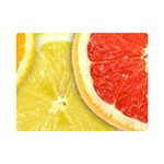 Fruit, Lemon Premium Plush Fleece Blanket (Mini) 35 x27  Blanket Front