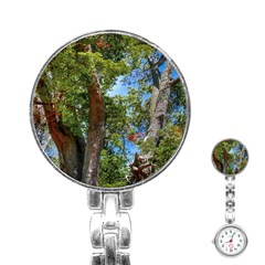 Patagonian Forest Trees Close-up, Rio Negro Province, Patagonia, Argentina Stainless Steel Nurses Watch by dflcprintsclothing