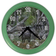 Meadow Landscape, Los Altares, Chubut Province, Argentina Color Wall Clock by dflcprintsclothing
