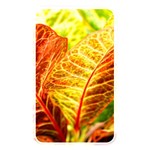 Leaves Plant Pattern Croton Nature Memory Card Reader (Rectangular) Front