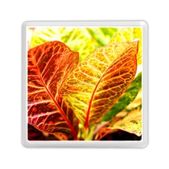 Leaves Plant Pattern Croton Nature Memory Card Reader (square) by Sabxi