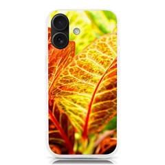 Leaves Plant Pattern Croton Nature Iphone 16 Tpu Uv Print Case