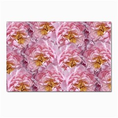 Peonies Nature Bloom Blossom Pink Postcards 5  X 7  (pkg Of 10) by Tsamara