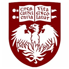 University Of Chicago Wooden Puzzle Square by avitendut